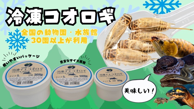 公式】月夜野ファーム オンラインストア コオロギ/爬虫類のエサ通販