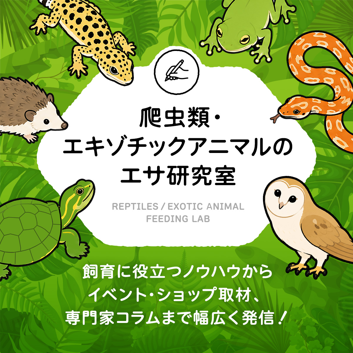 公式】月夜野ファーム オンラインストア コオロギ/爬虫類のエサ通販