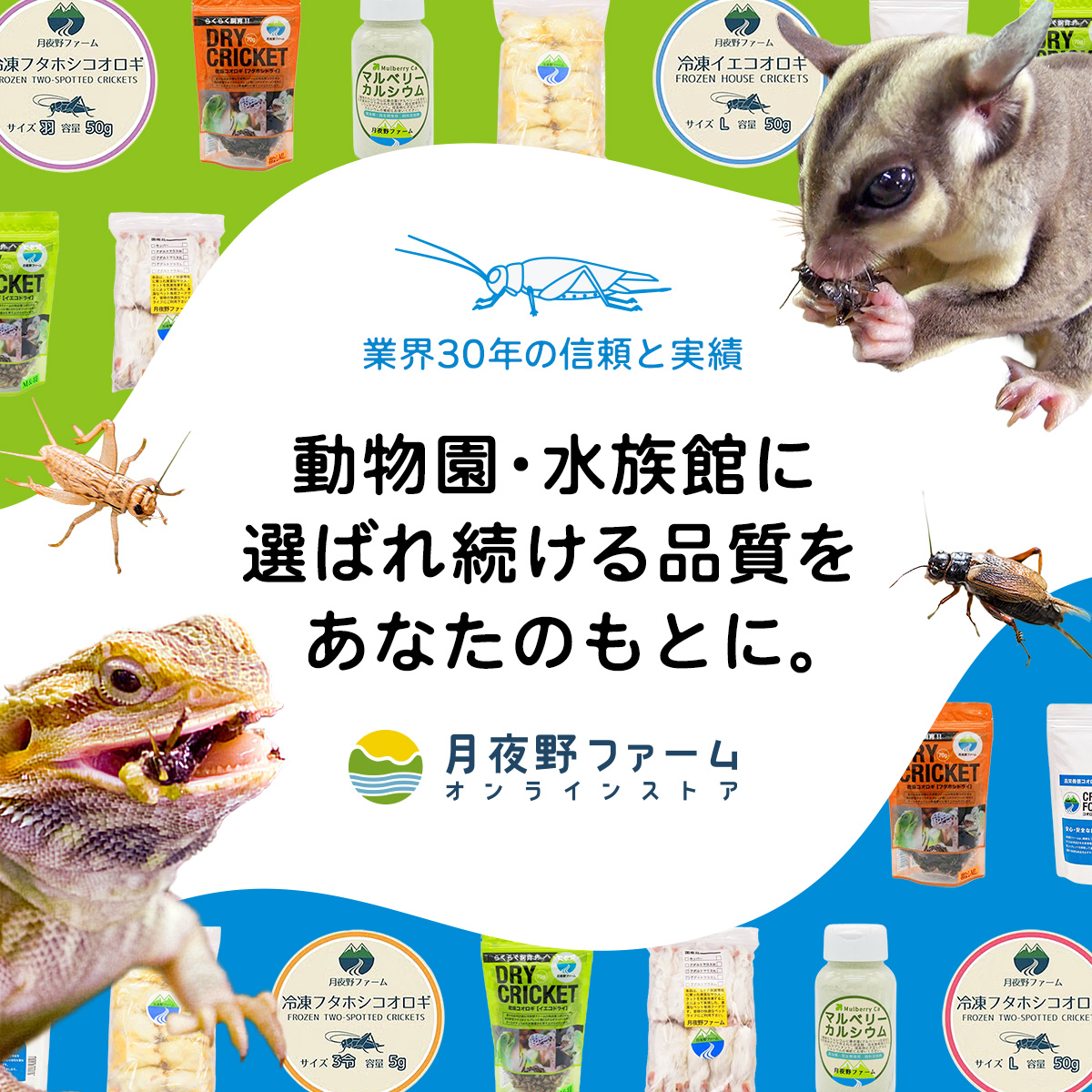 公式】月夜野ファーム オンラインストア コオロギ/爬虫類のエサ通販